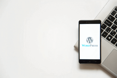 Protecting your WordPress: Why Website Security is Paramount